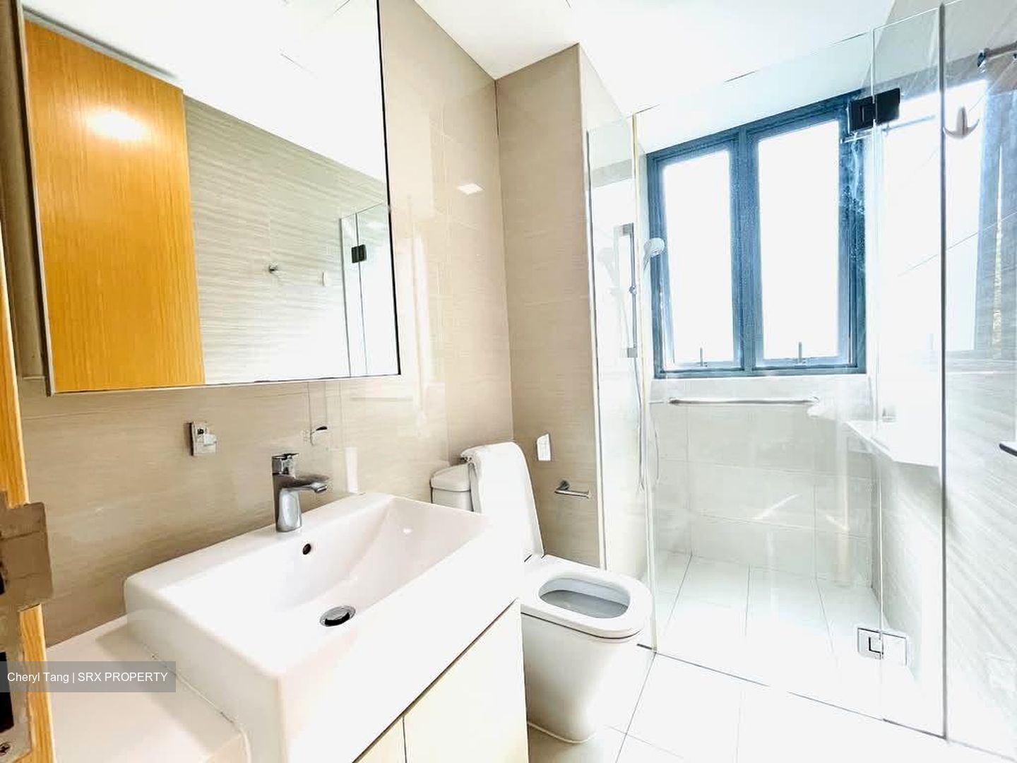 Thomson Three (D20), Apartment #559100871